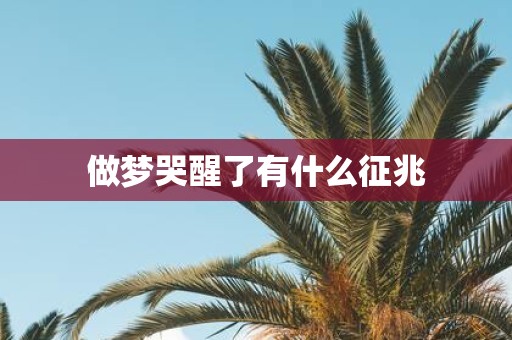 做梦哭醒了有什么征兆