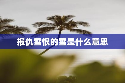 报仇雪恨的雪是什么意思