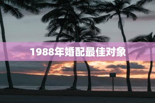 1988年婚配最佳对象
