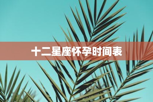 十二星座怀孕时间表
