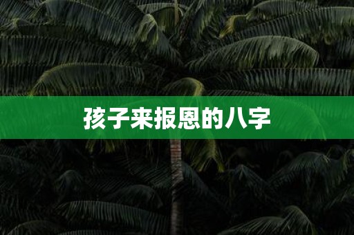 孩子来报恩的八字
