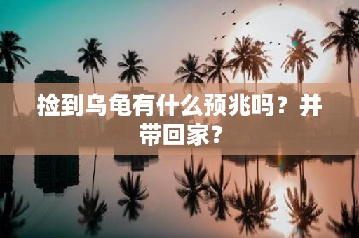 捡到乌龟有什么预兆吗？并带回家？