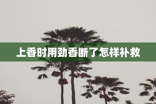 上香时用劲香断了怎样补救
