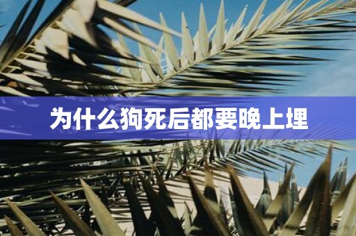 为什么狗死后都要晚上埋