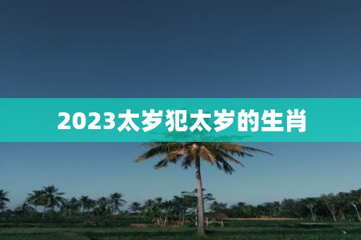 2025太岁犯太岁的生肖