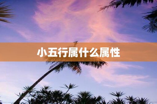 小五行属什么属性