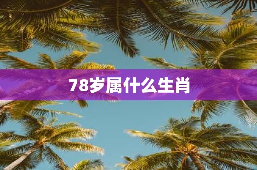 78岁属什么生肖