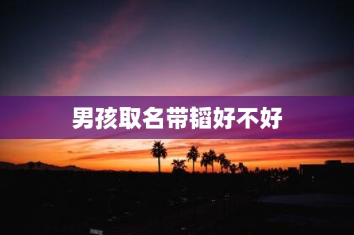 男孩取名带韬好不好