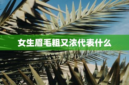 女生眉毛粗又浓代表什么