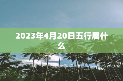 2025年4月20日五行属什么