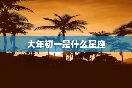 大年初一是什么星座