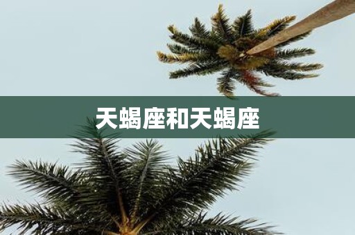 天蝎座和天蝎座