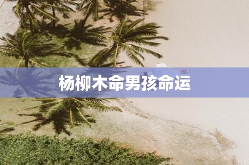 杨柳木命男孩命运