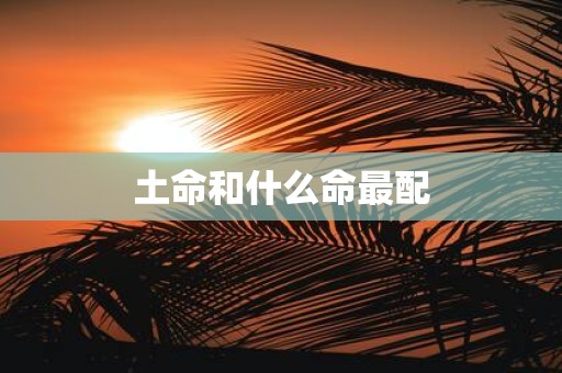 土命和什么命最配