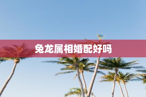 兔龙属相婚配好吗