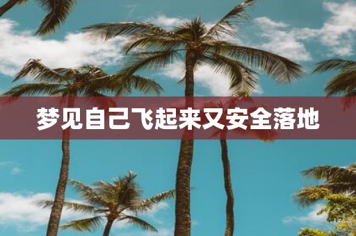 梦见自己飞起来又安全落地