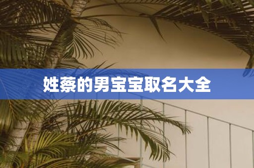 姓蔡的男宝宝取名大全