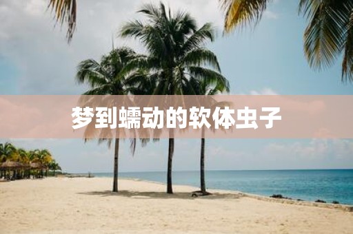 梦到蠕动的软体虫子