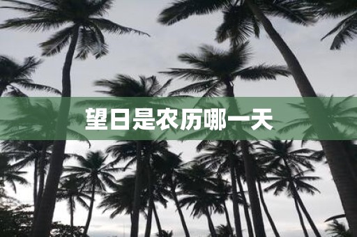 望日是农历哪一天