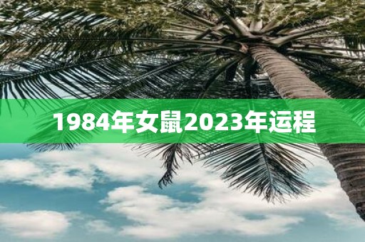 1984年女鼠2025年运程