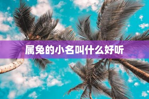 属兔的小名叫什么好听