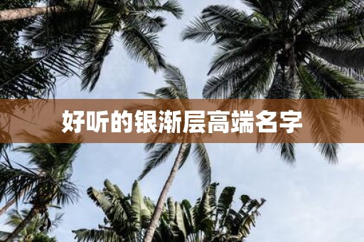 好听的银渐层高端名字