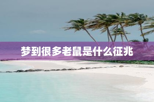 梦到很多老鼠是什么征兆