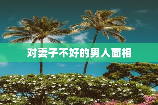 对妻子不好的男人面相