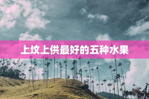 上坟上供最好的五种水果