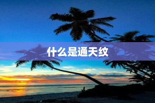 什么是通天纹