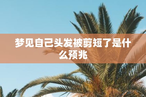 梦见自己头发被剪短了是什么预兆