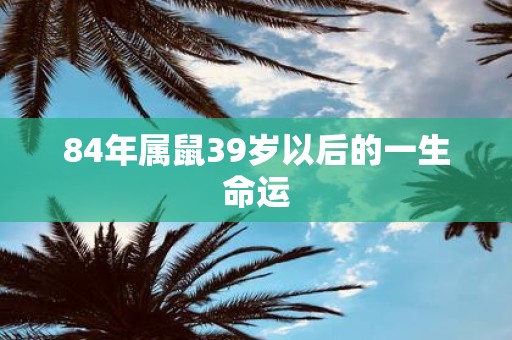 84年属鼠39岁以后的一生命运