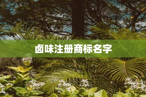 卤味注册商标名字