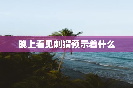 晚上看见刺猬预示着什么