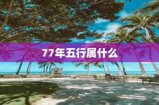 77年五行属什么