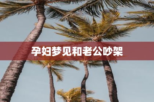孕妇梦见和老公吵架