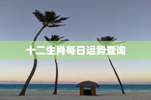 十二生肖每日运势查询