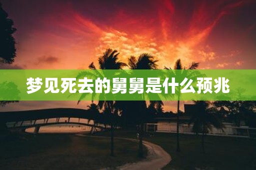 梦见死去的舅舅是什么预兆