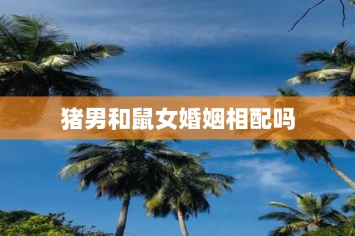 猪男和鼠女婚姻相配吗