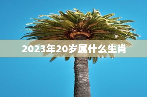 2025年20岁属什么生肖