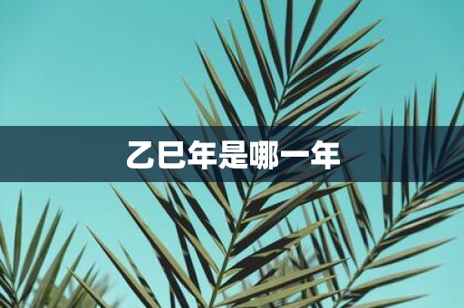 乙巳年是哪一年