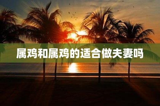 属鸡和属鸡的适合做夫妻吗