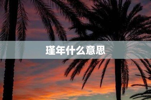 瑾年什么意思