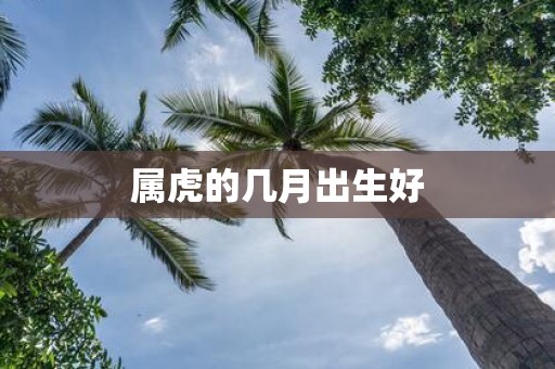 属虎的几月出生好