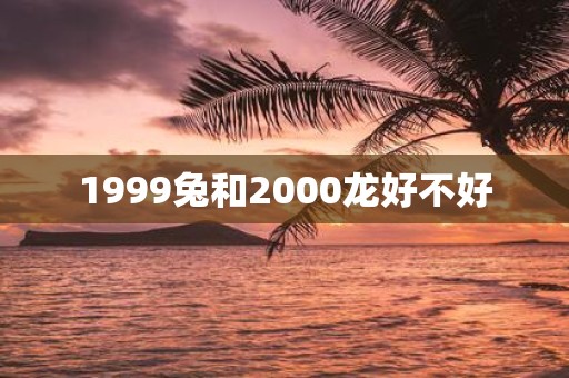 1999兔和2000龙好不好