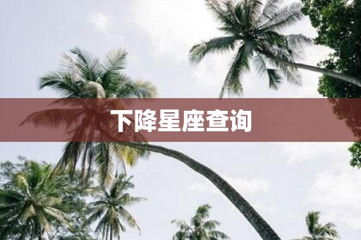 下降星座查询