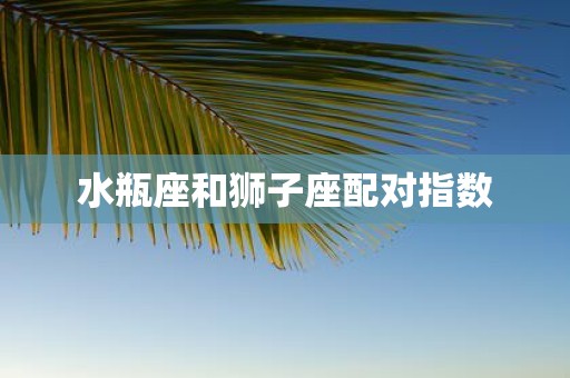 水瓶座和狮子座配对指数