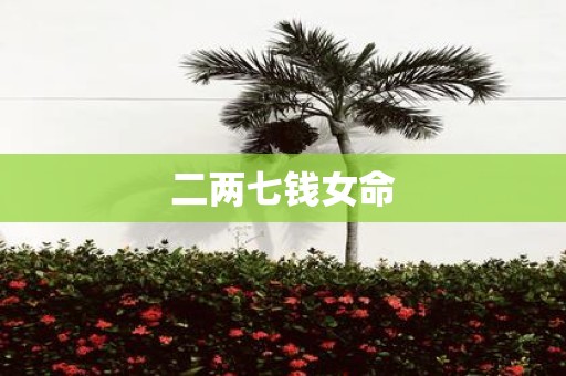 二两七钱女命