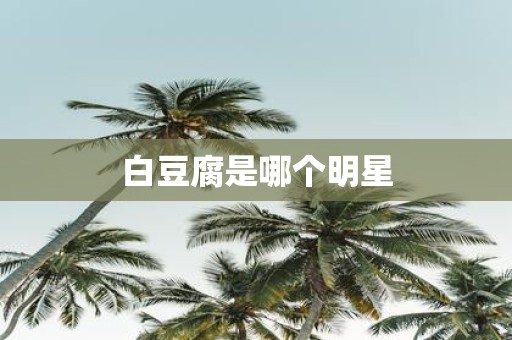 白豆腐是哪个明星