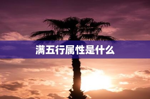 满五行属性是什么